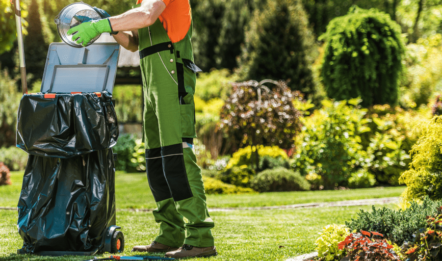 YARD CLEANUP